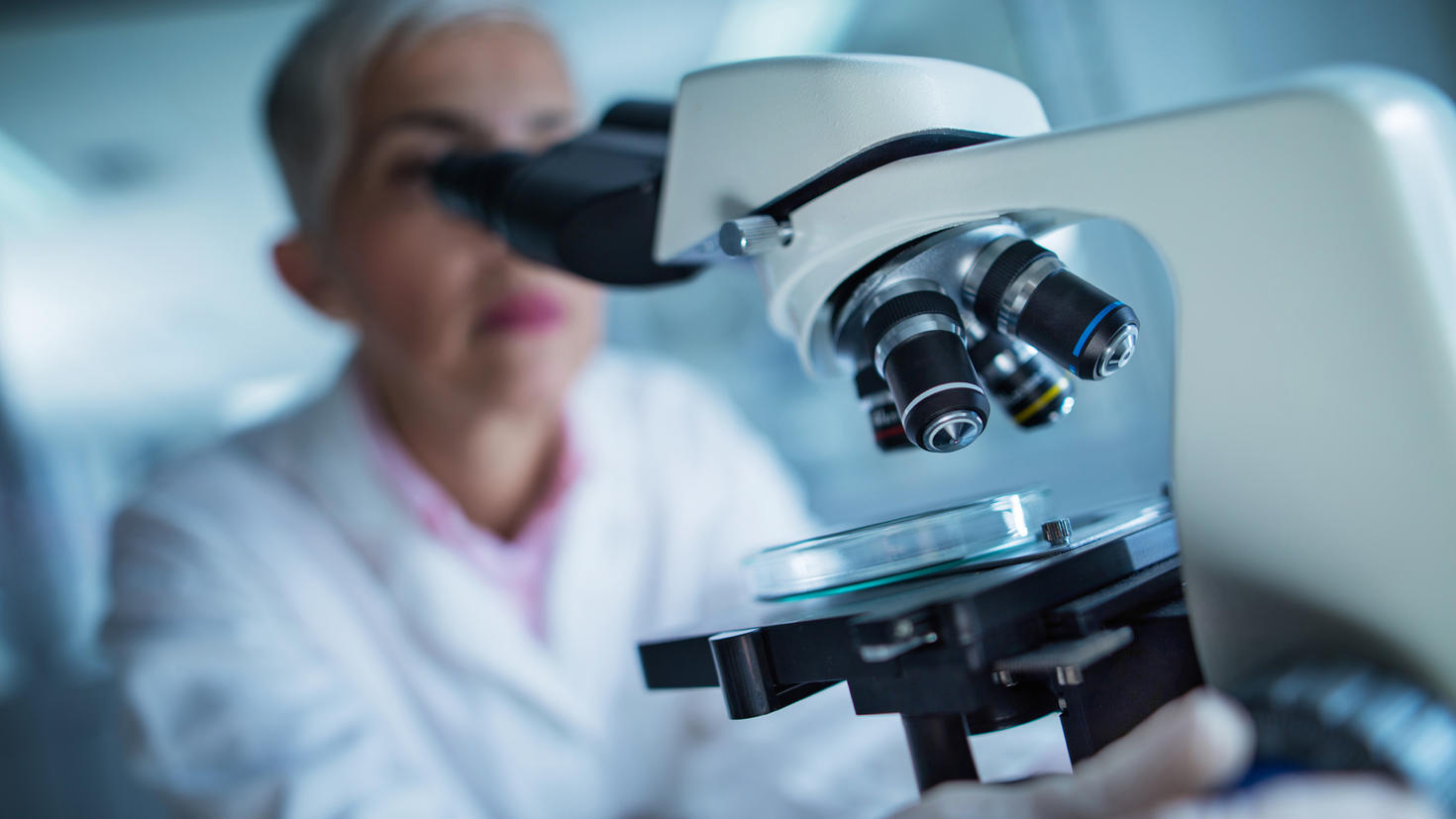 Master in Medical Sciences (Medical Microbiology) #002